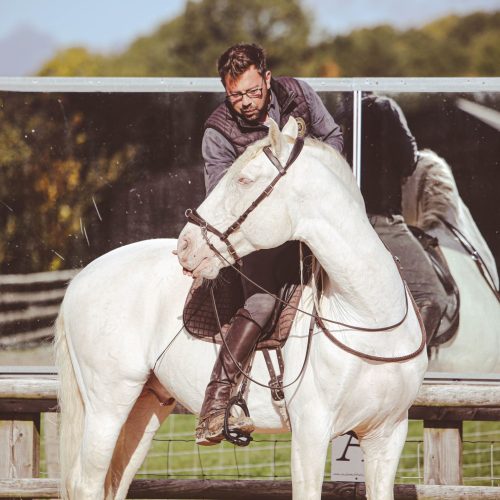 Horse Education
